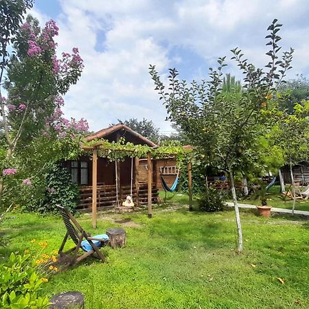 Дом для отпуска Tinyhouse Genacvale Мартвили Экстерьер фото
