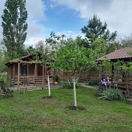 Дом для отпуска Tinyhouse Genacvale Мартвили Экстерьер фото