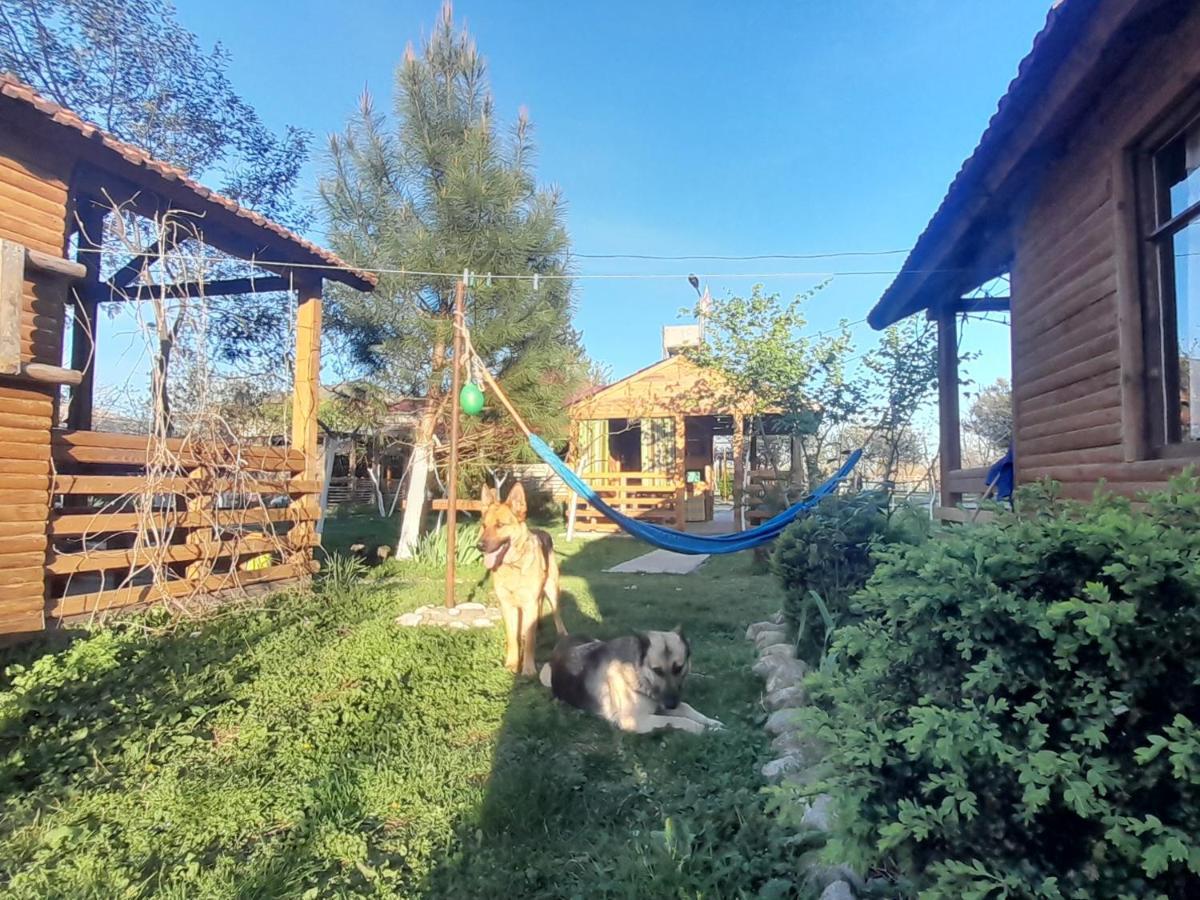 Дом для отпуска Tinyhouse Genacvale Мартвили Экстерьер фото
