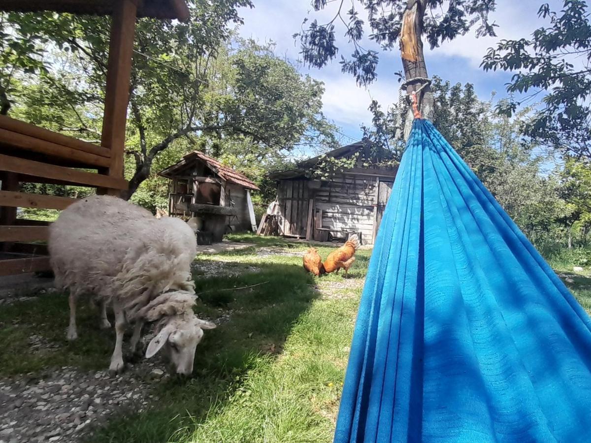 Дом для отпуска Tinyhouse Genacvale Мартвили Экстерьер фото
