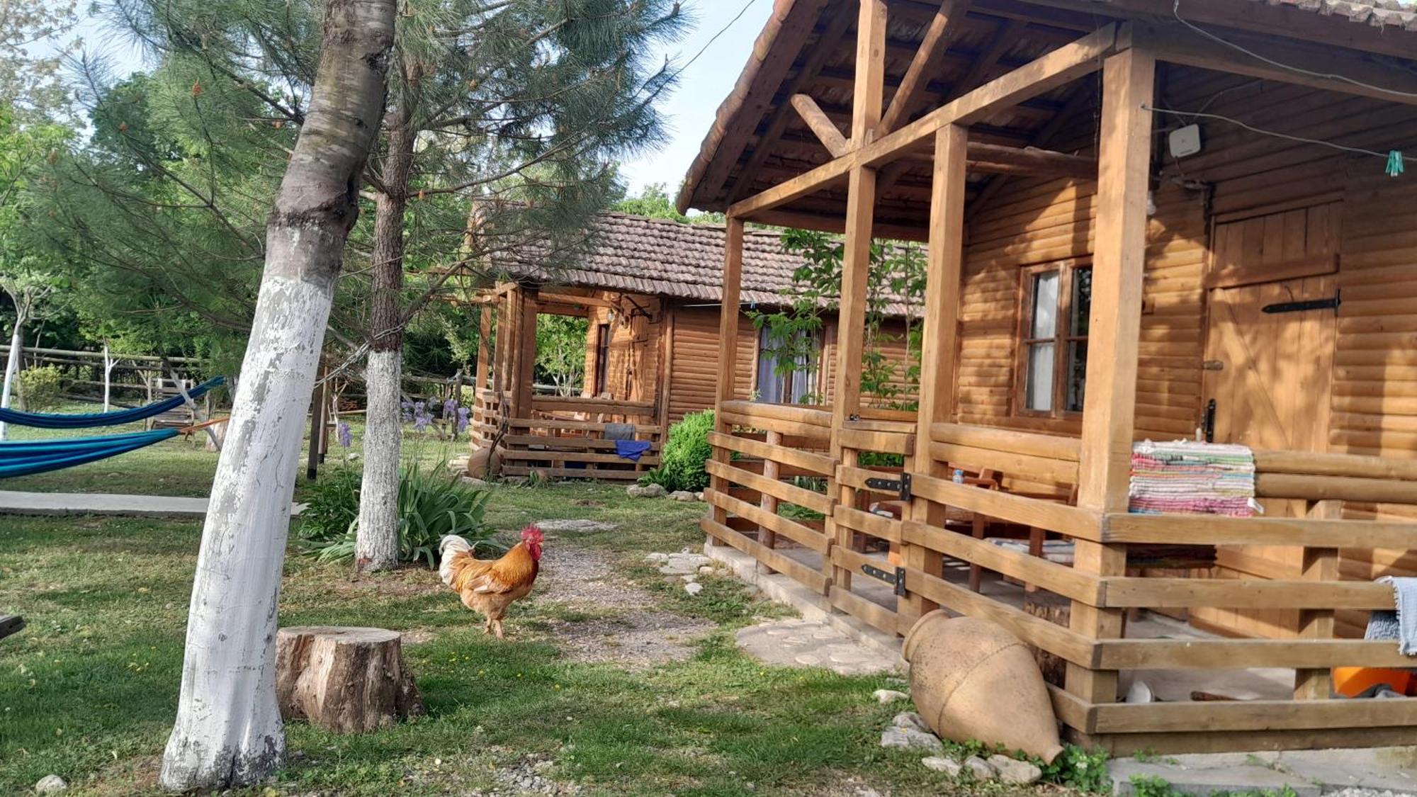 Дом для отпуска Tinyhouse Genacvale Мартвили Экстерьер фото