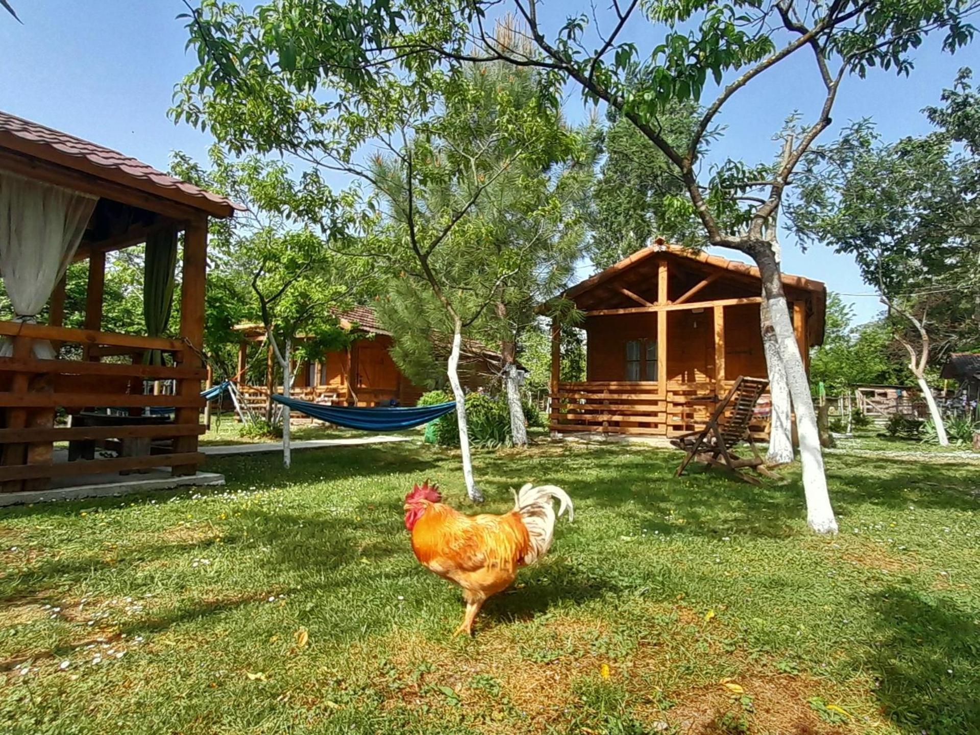 Дом для отпуска Tinyhouse Genacvale Мартвили Номер фото