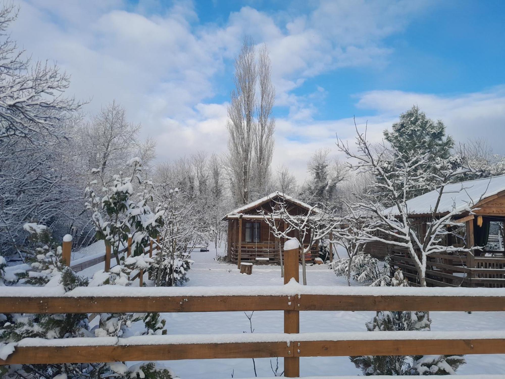Дом для отпуска Tinyhouse Genacvale Мартвили Экстерьер фото